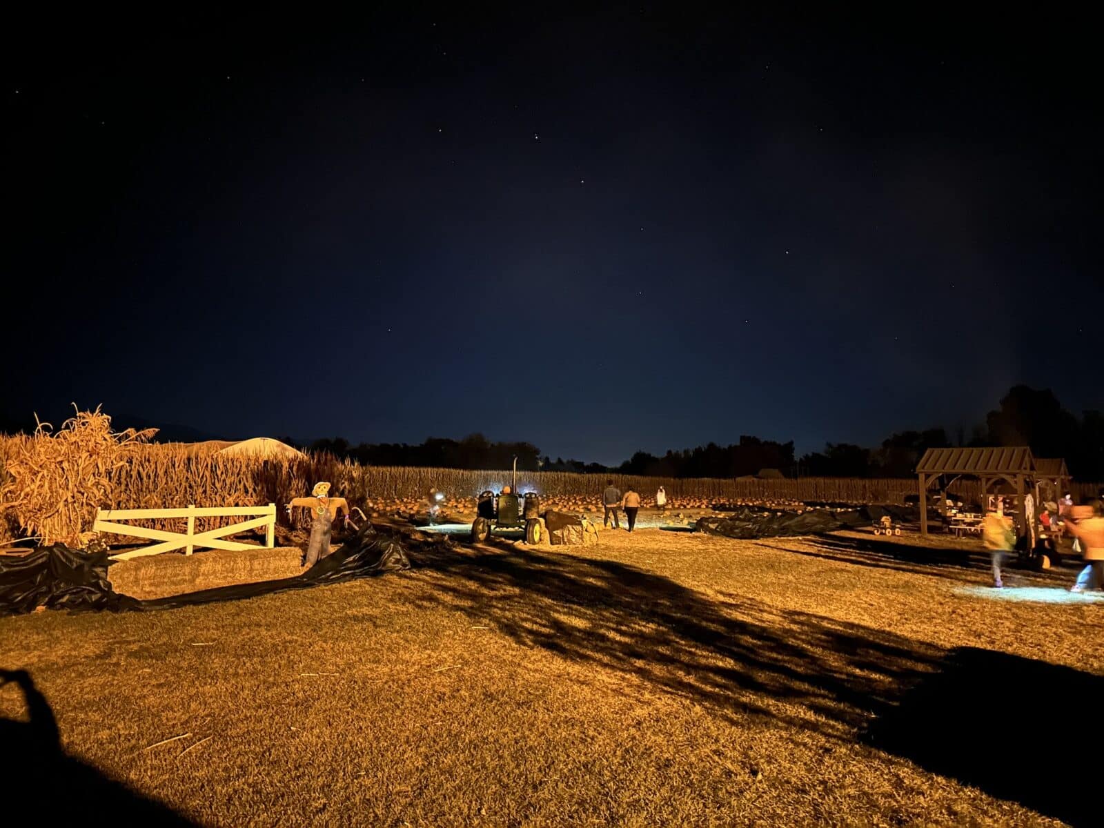 night time at Diana's Pumpkin Patch and Corn Maze