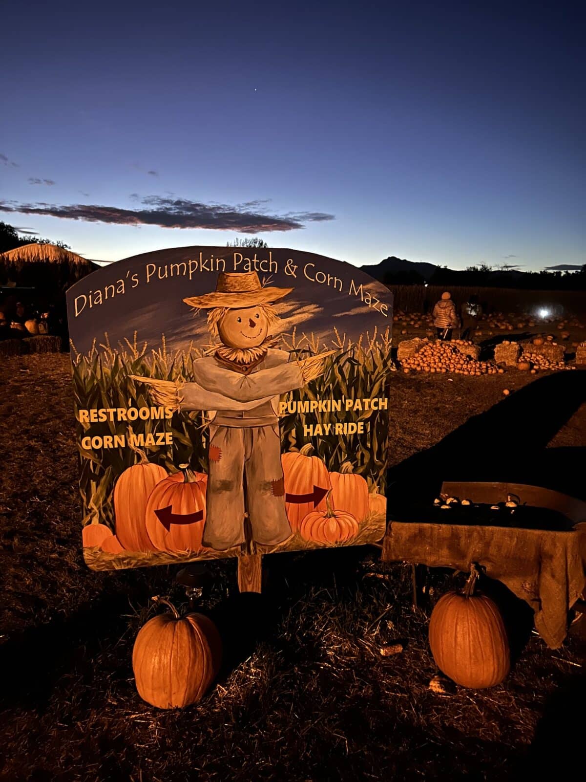 signage for Diana's Pumpkin Patch and Corn Maze