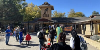 families wait in line in costumes at the Pueblo Zoo