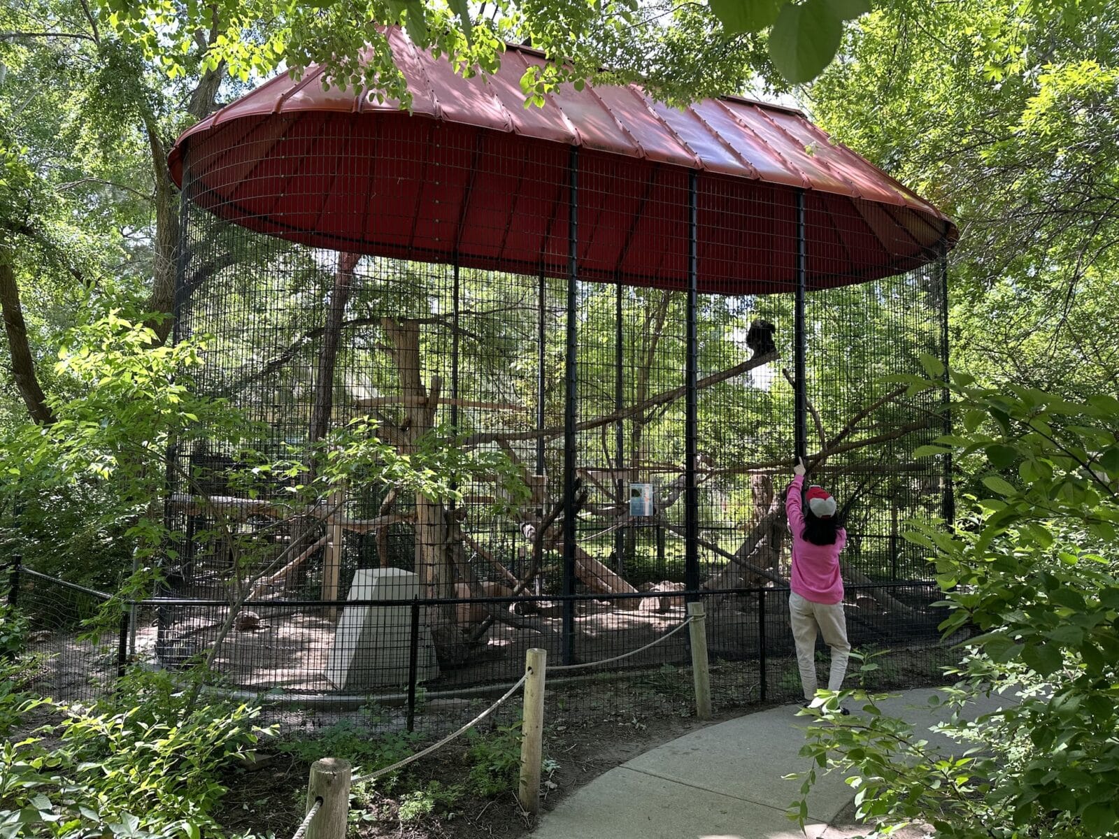 woman points to a porcupine in a cage at the Pueblo Zoo