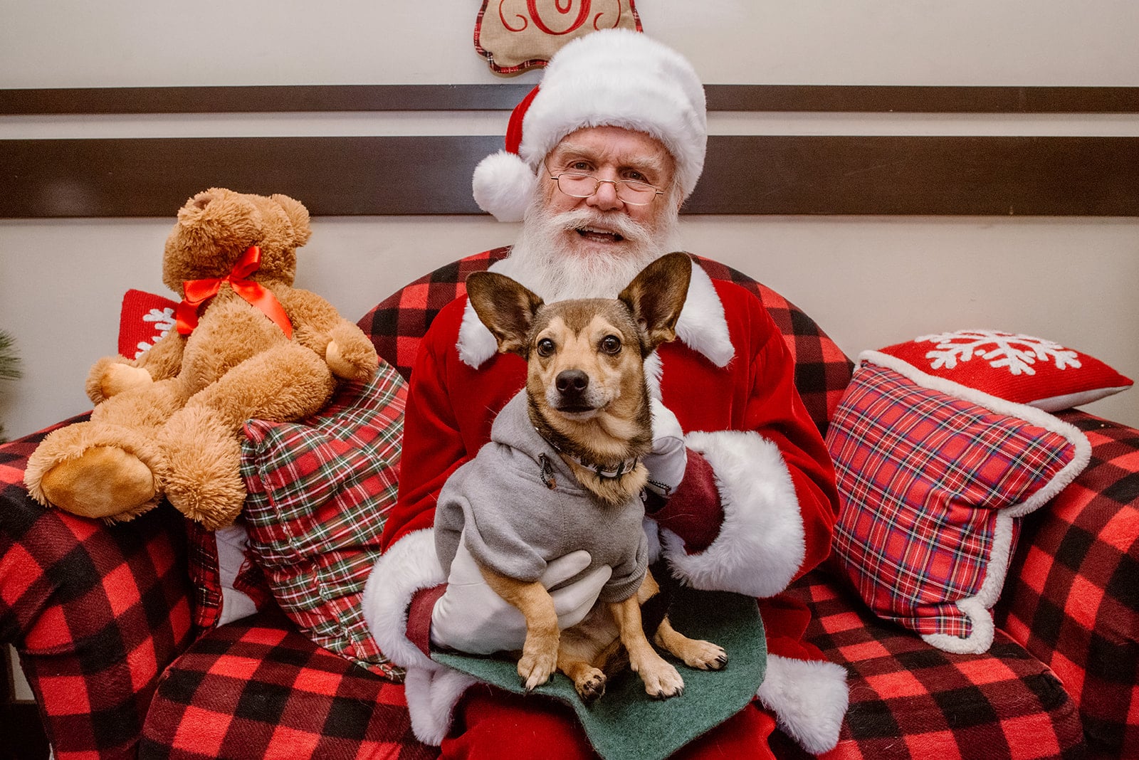 Santa Clause sits on a chair with a Chihuahua dog on his lap at Orchard Town Center