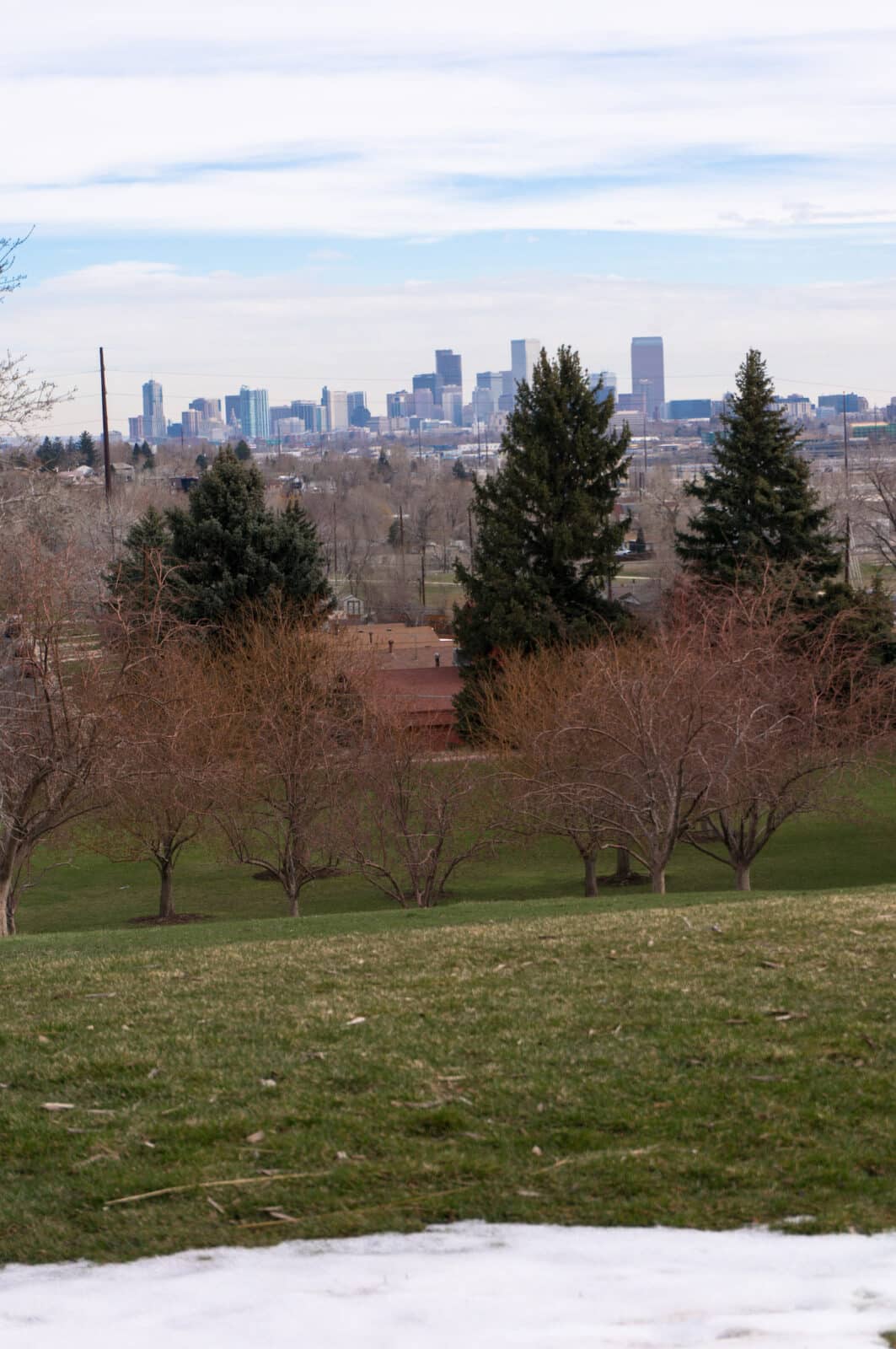 portrait style of photo showing Ruby Hill Park with Denver skyline in background
